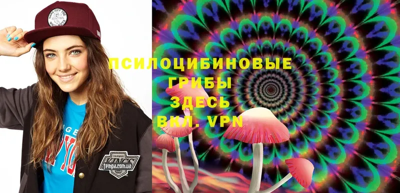 Псилоцибиновые грибы Magic Shrooms  Александров 